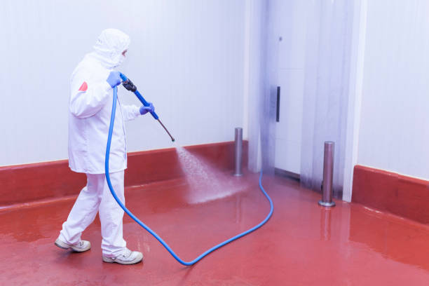 Best Rust Removal  in Portland, TN